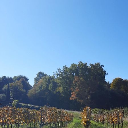 Acero Rosso B&B In Franciacorta Erbusco Eksteriør bilde