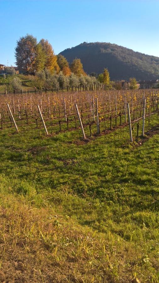 Acero Rosso B&B In Franciacorta Erbusco Eksteriør bilde